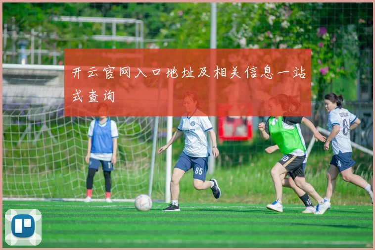 开云官网入口地址及相关信息一站式查询