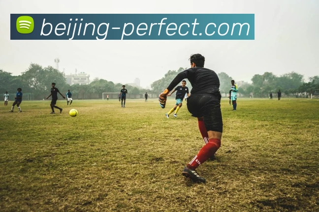 开云app平台生态图